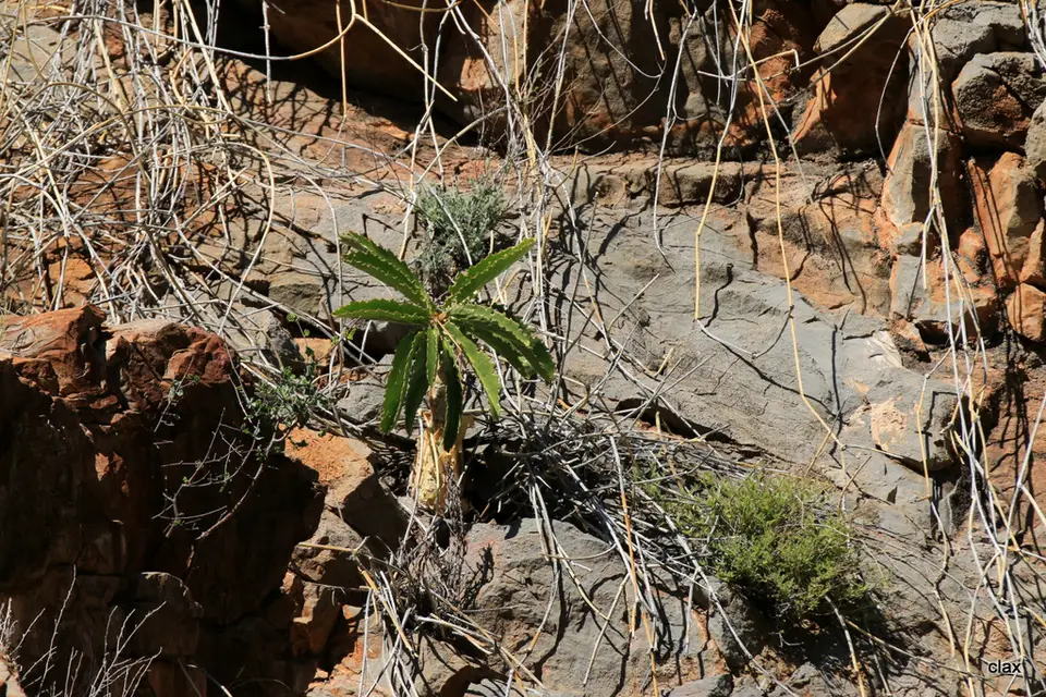 hfeec335.JPG