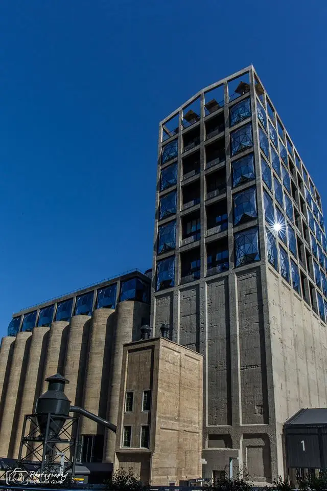mocaa.jpg