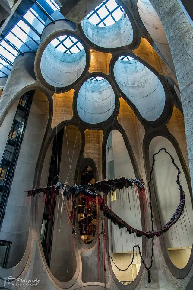 mocaa3.jpg
