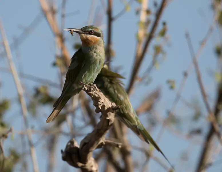0A7A0446.jpg
