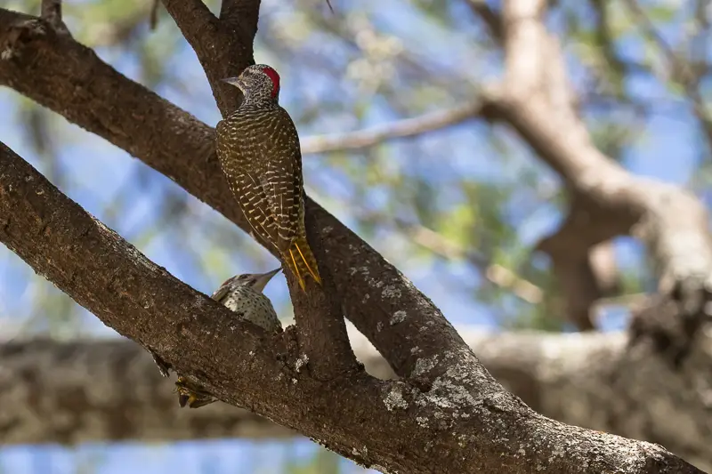 0A7A0575.jpg