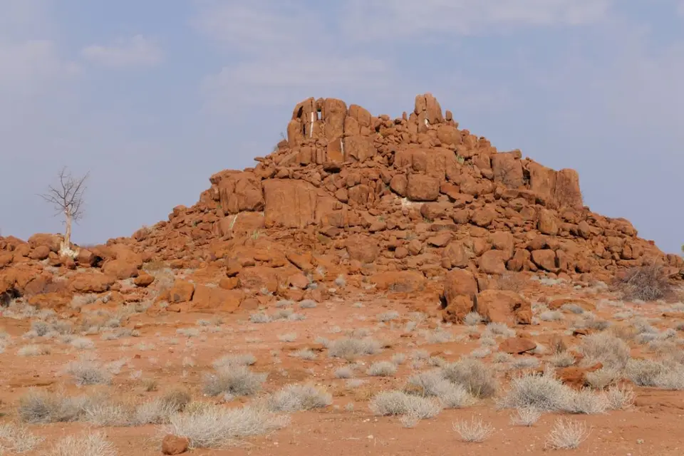 h0288047.jpg