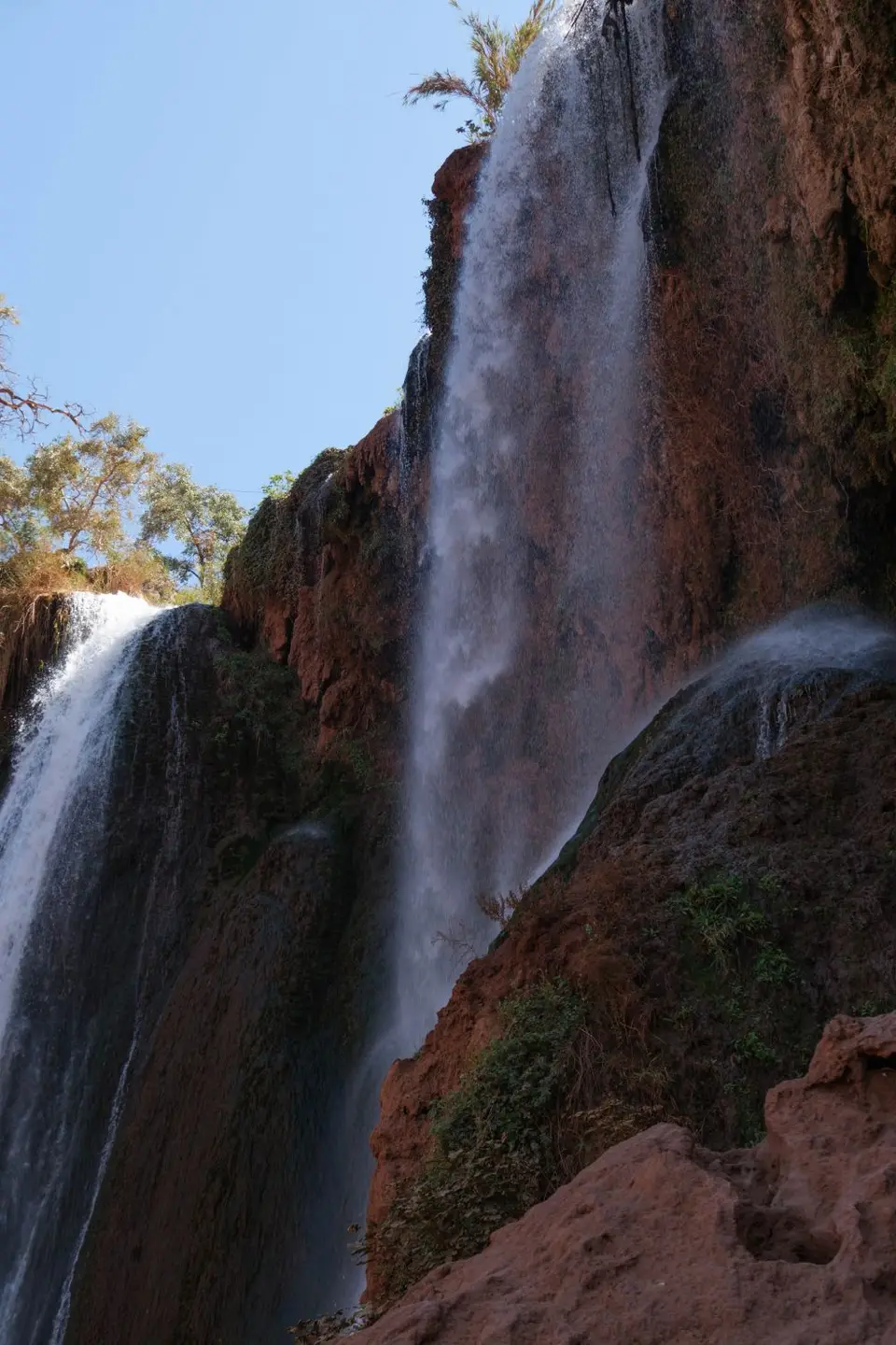 DSCF0011.jpg