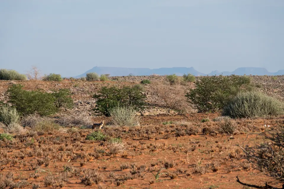 DSCF0911.jpg
