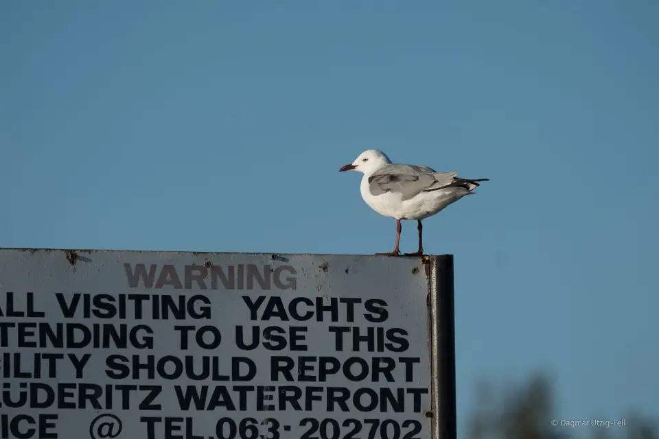 DSCF1021.jpg
