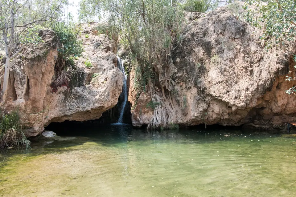 DSCF1078.jpg