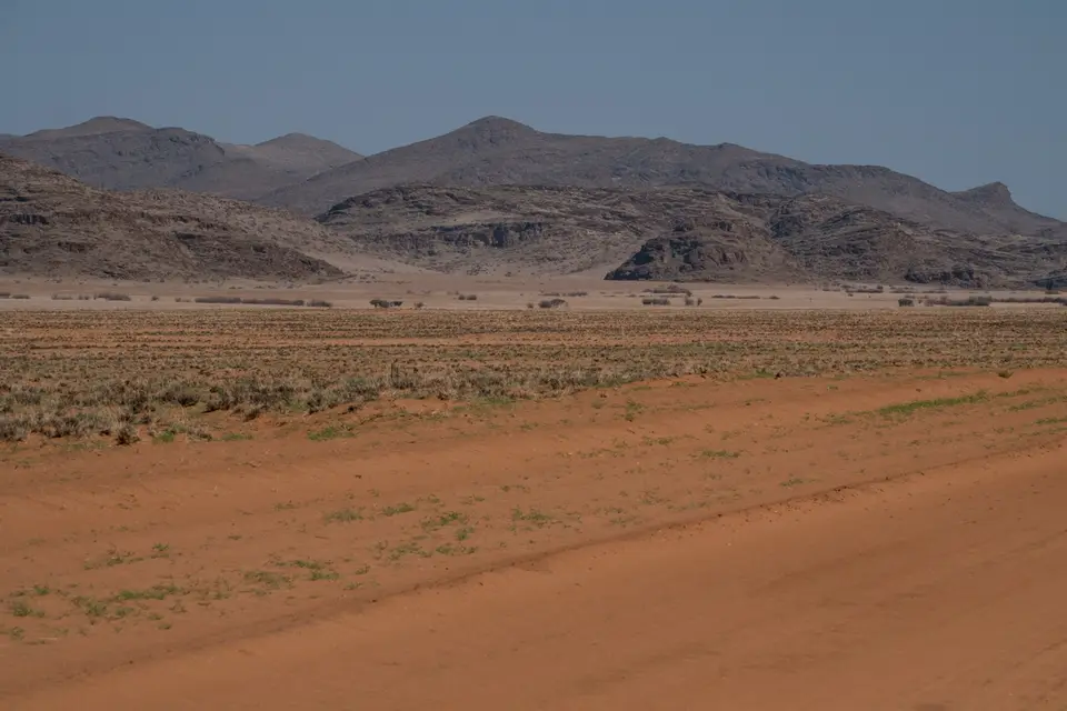 DSCF1182.jpg