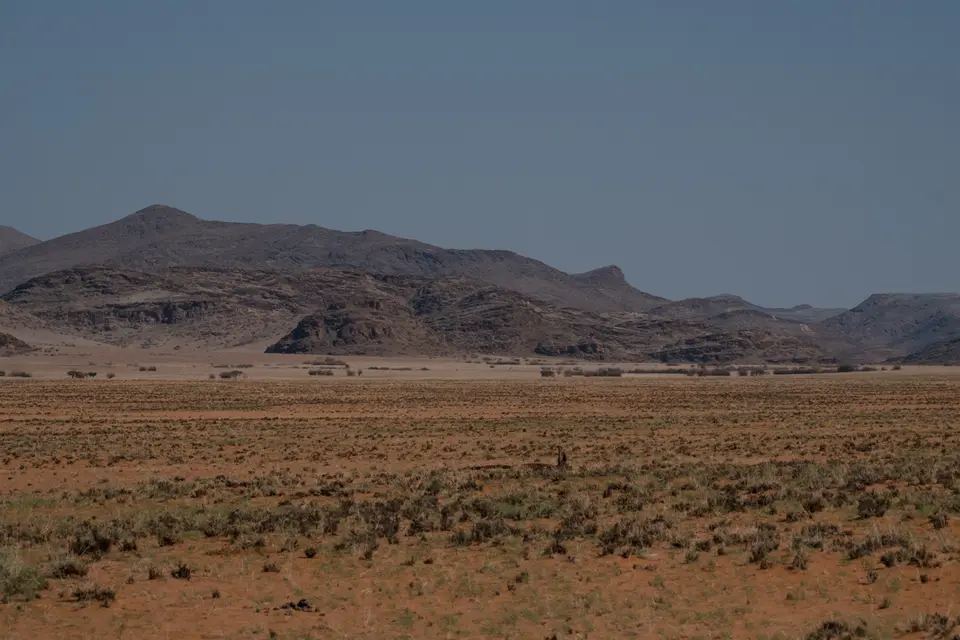 DSCF1185.jpg