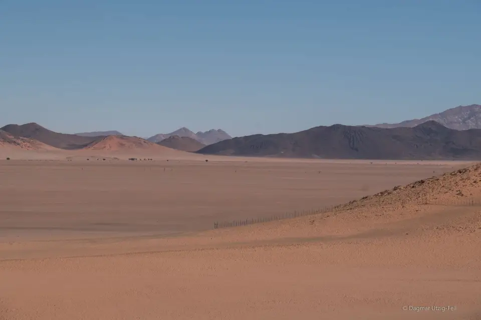 DSCF1375.jpg