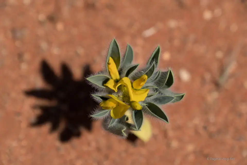 DSCF1399.jpg