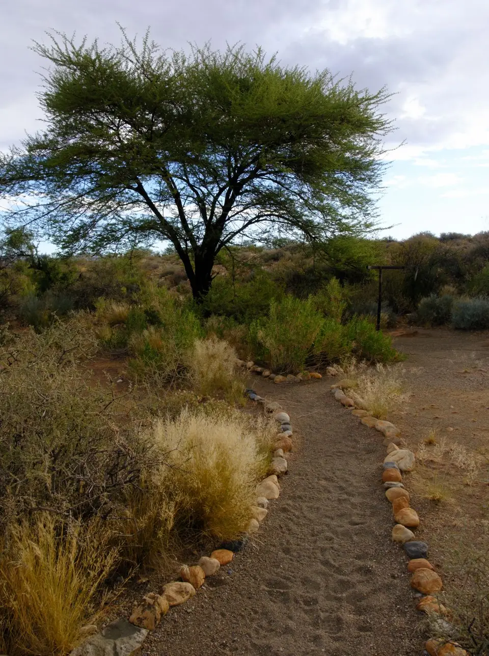 DSCF1430.jpg