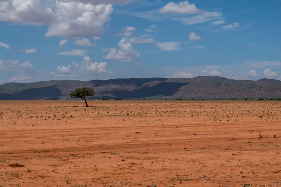 DSCF1586-1.jpg
