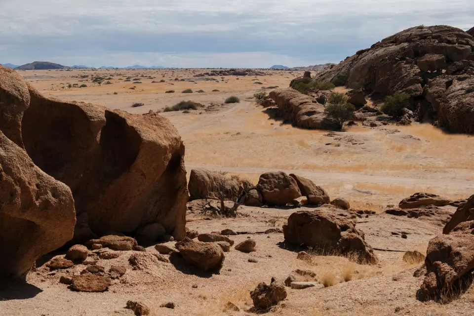 DSCF1627.jpg