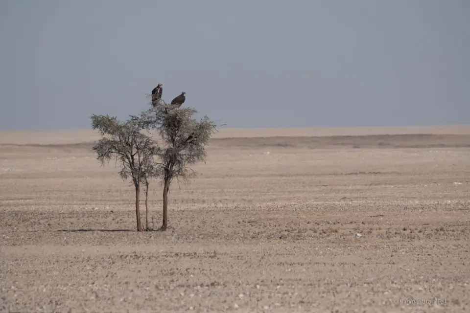 DSCF1752.jpg