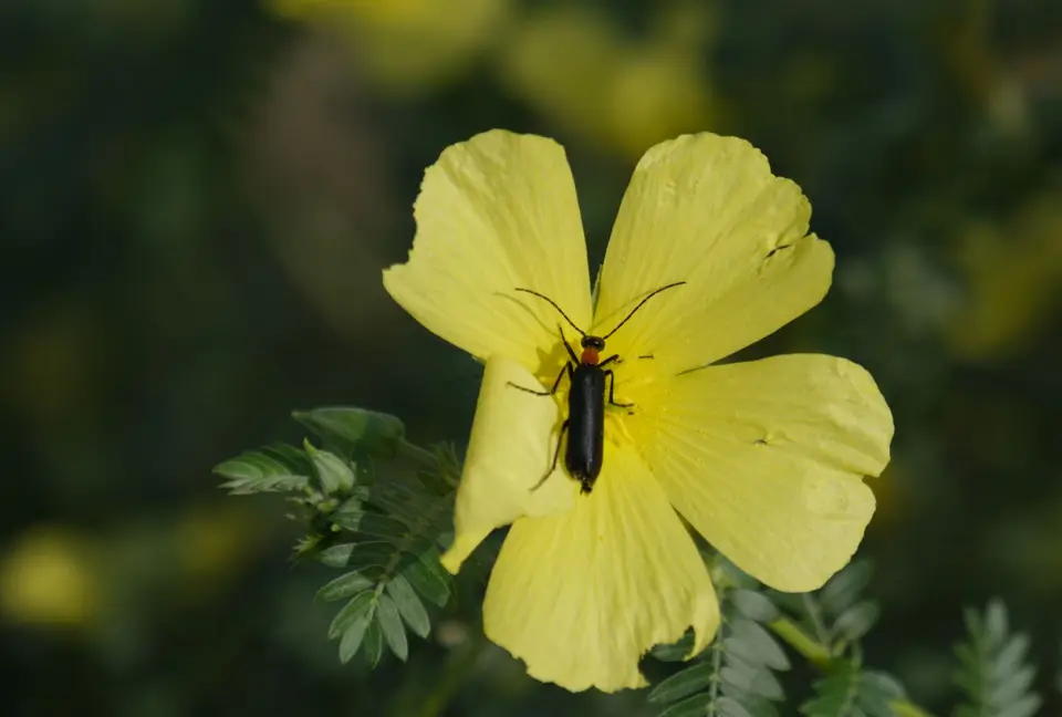 DSCF1754.jpg
