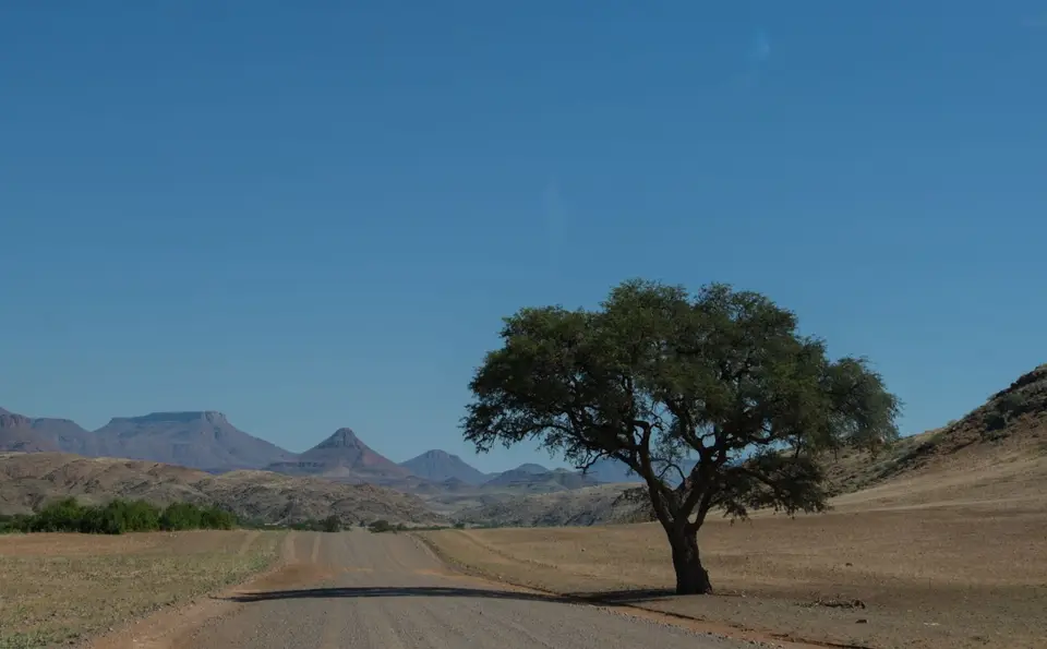 DSCF1777.jpg