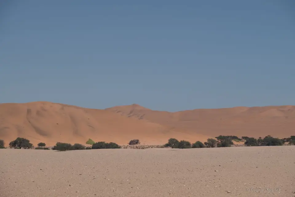 DSCF1786.jpg