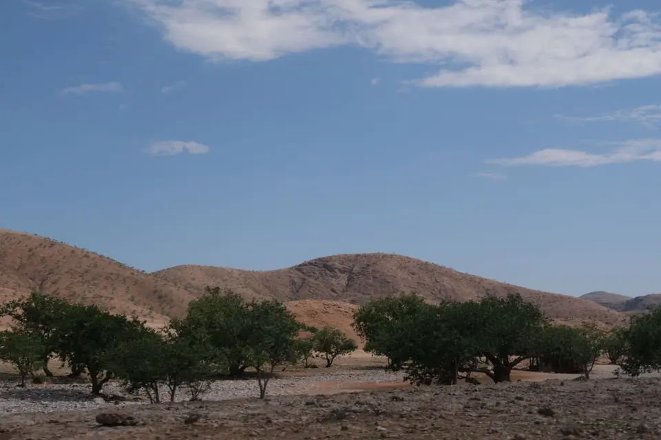 DSCF1823.jpg