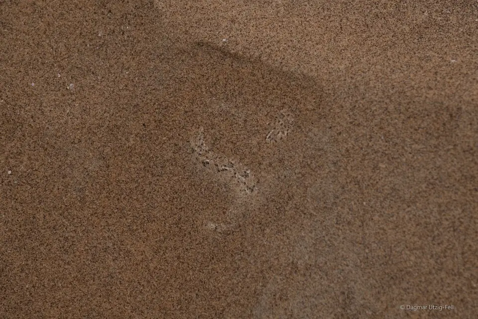 DSCF1835.jpg
