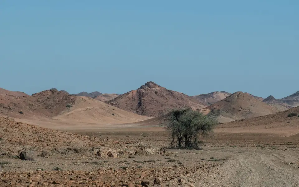 DSCF1859.jpg