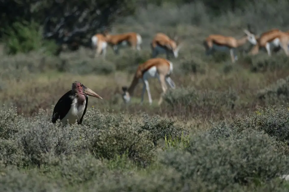 DSCF2101.jpg
