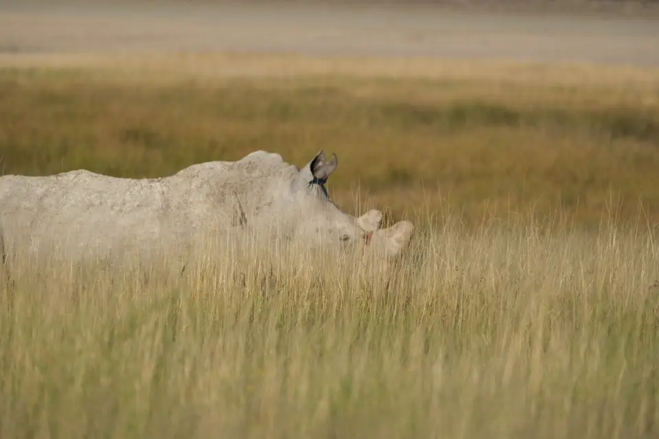 DSCF2257.jpg