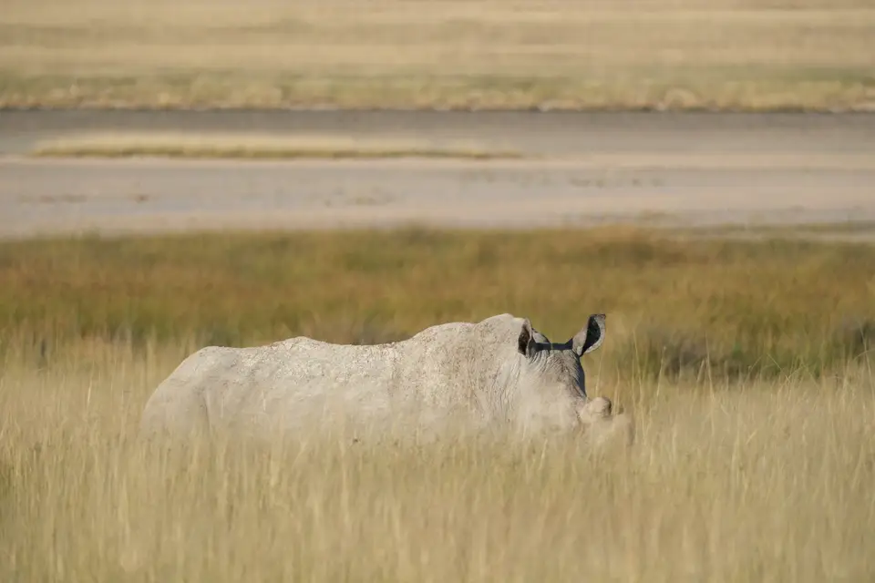 DSCF2260.jpg
