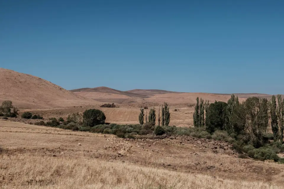 DSCF9375.jpg