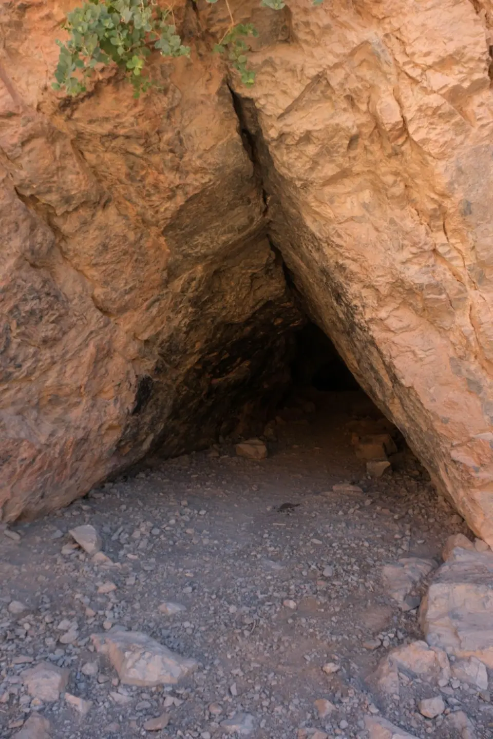 DSCF9466.jpg