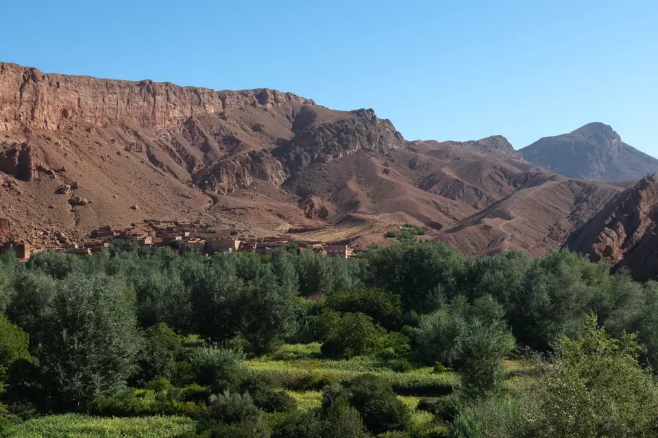 DSCF9658.jpg