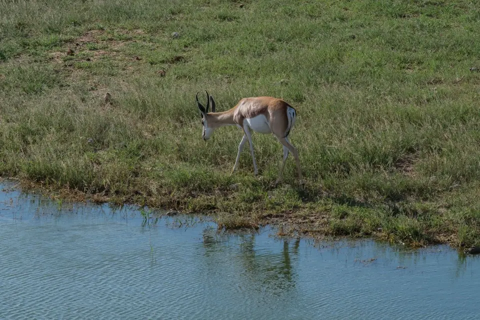DSCF9926.jpg