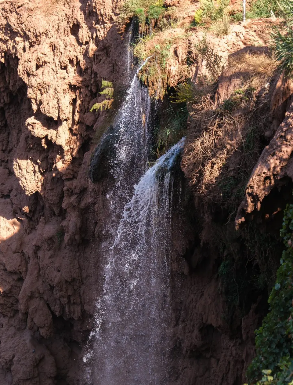 DSCF9930.jpg