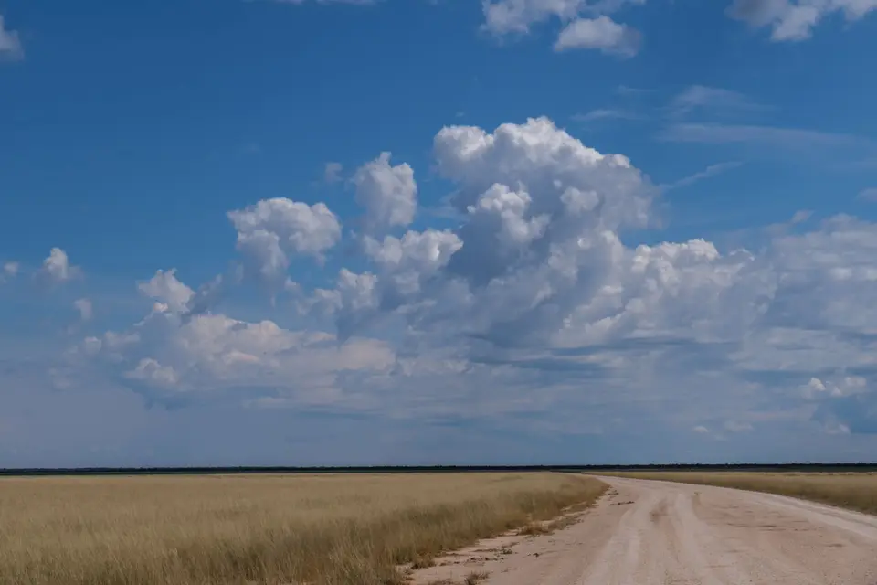 DSCF9976.jpg