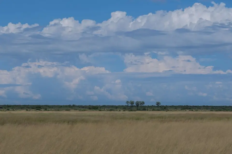 DSCF9979.jpg