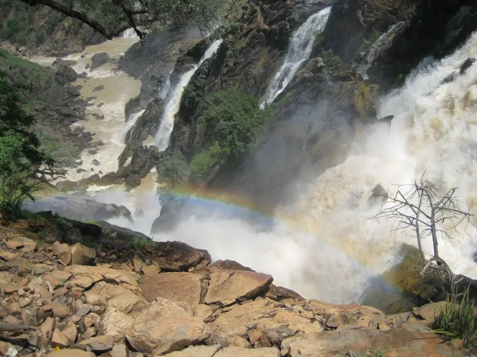 IMG_6135-1.jpg