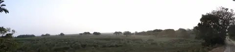 Sdafrika20121028.jpg