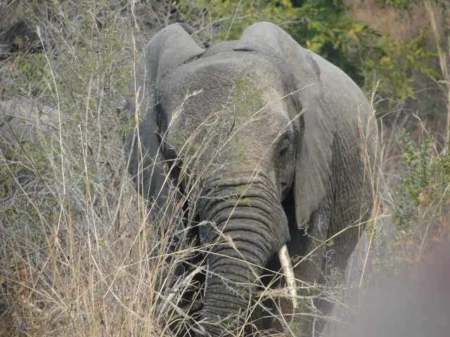 Sdafrika2012103.jpg