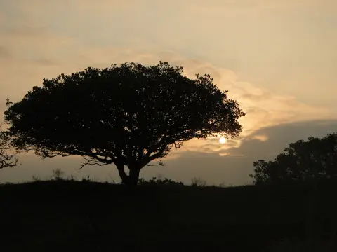 Sdafrika20121035.jpg