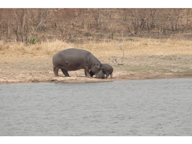 Sdafrika2012108.jpg
