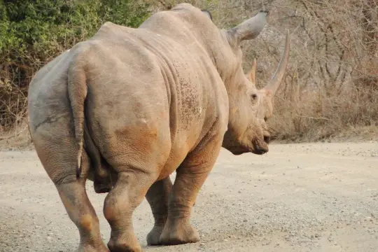 Sdafrika20121101.jpg