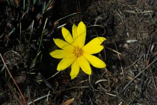 Sdafrika20121268.jpg