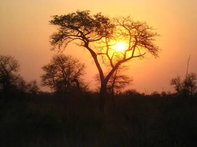 Sdafrika20121361.jpg