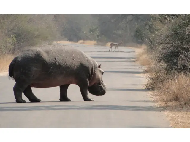 Sdafrika2012164.jpg