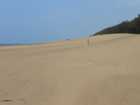 Sdafrika20121897.jpg