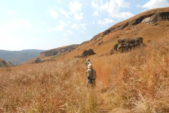 Sdafrika20121959.jpg