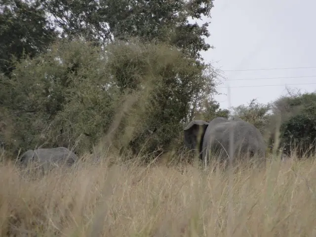 Sdafrika2012325.jpg