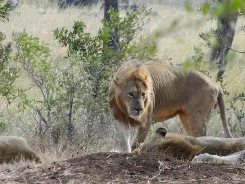 Sdafrika2012424.jpg