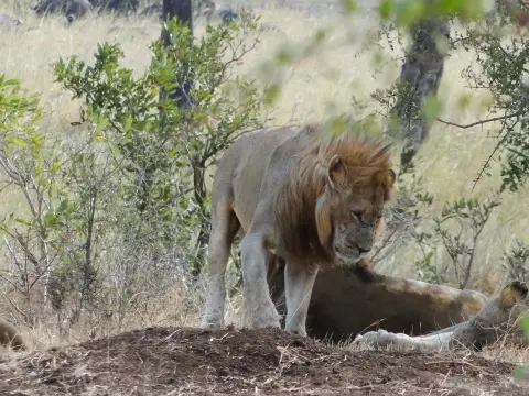 Sdafrika2012425.jpg