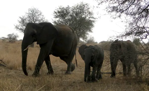 Sdafrika2012496.jpg