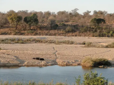 Sdafrika2012623.jpg